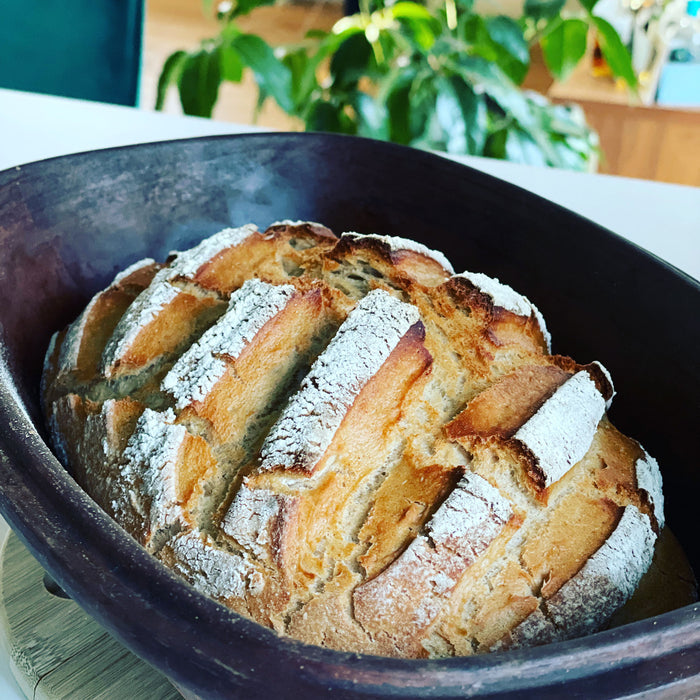 Gärkörbchen Gärkorb Rund 25x8cm Peddigrohr Brotform Leineneinsatz Brotkorb